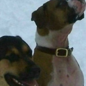 Ali & Brooke