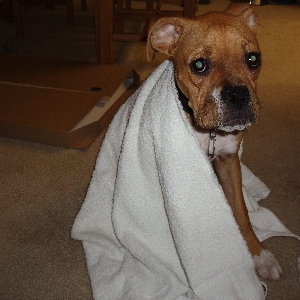 drying up