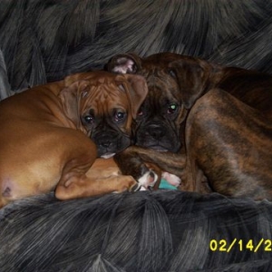 CozyBabes