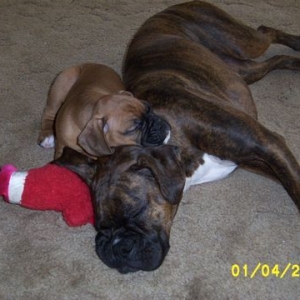 Sleepin_Babies