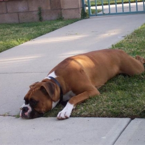 Taking a Break