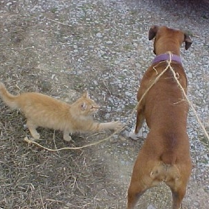 You're not the boss of me!