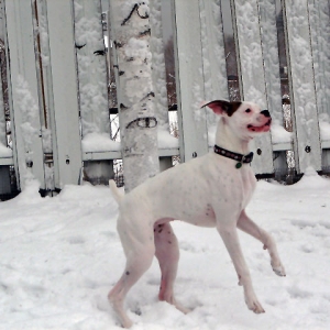 Ellie's first winter