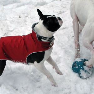 Nyah and Ellie