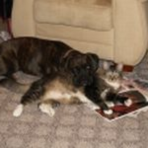 Mara and best bud kitty