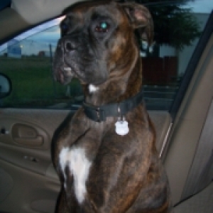 Mara along for the ride