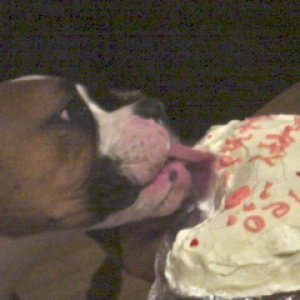 YUMMY!