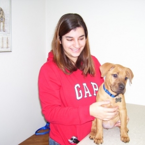 Cali at the Vet