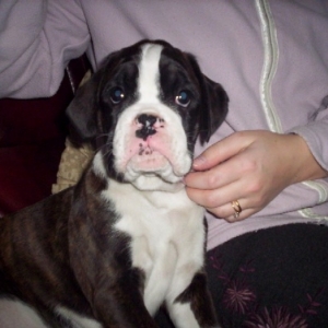 Milly @ 8 weeks