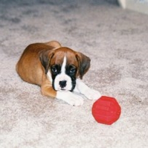Emma as a little baby