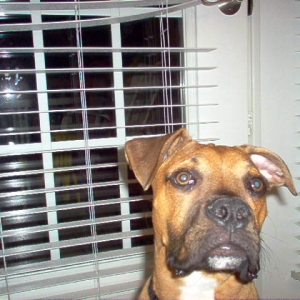 Waiting to go potty!!!!!!
