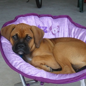 Maggie's chair