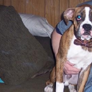 hank's friend tyson