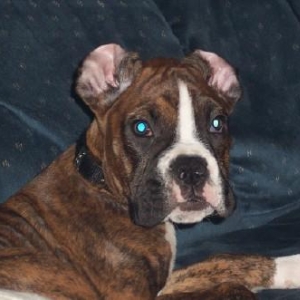 I'm a good boy Mama