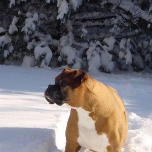 Paws in february 2006