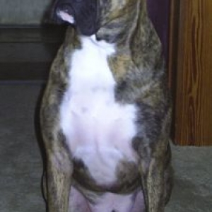 Where is she Dad??