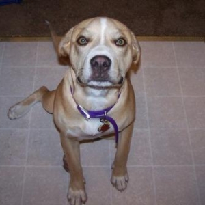 Emma Girl