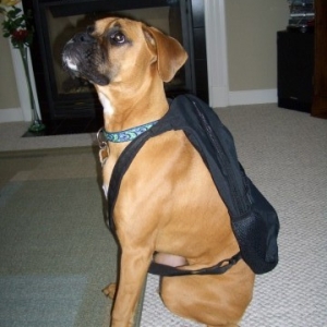 Ready for school