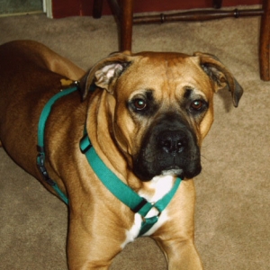 Handsome Boy!