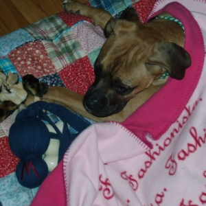 tired luna