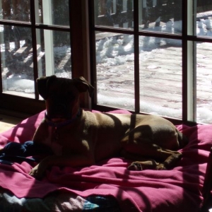 Sun bathing luna