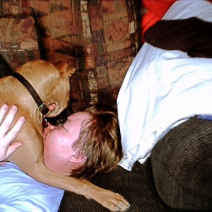 Samson in a licking fest