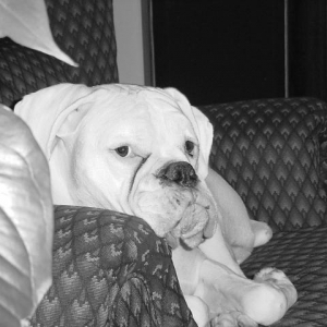 Arley James Hanging Out