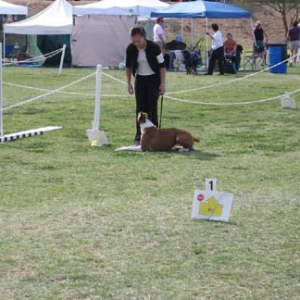 First Rally Obedience Trial