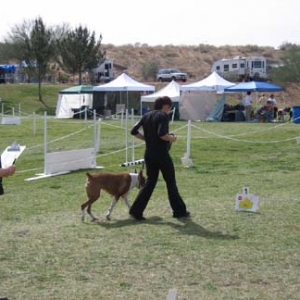 First Rally Obedience Trial