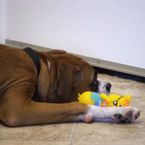 Waiting for mom