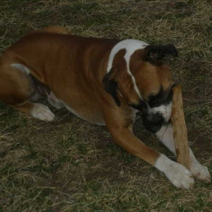 Capone C