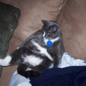 Watching the TV