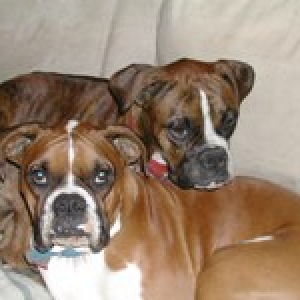Snuggling