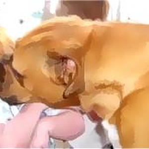 Boxers' really do love kids!