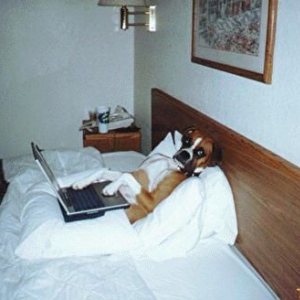 Not Sammi but funny...