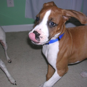 I'm bigger than you :)