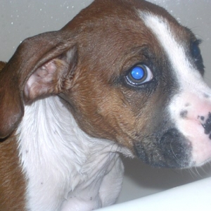 Champs First Bath
