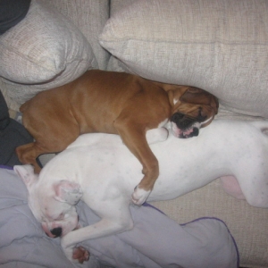 we_love_to_snuggle