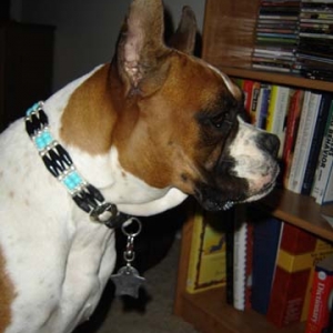 Pretty Collar
