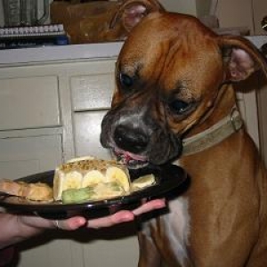 Zero Front Cake