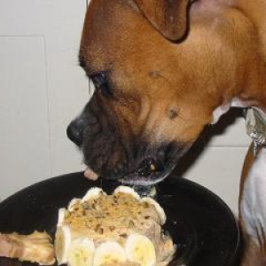 Zero Profile Cake
