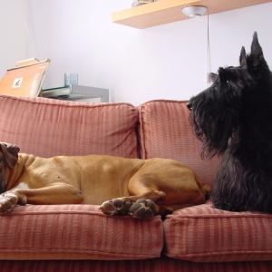 The boys together