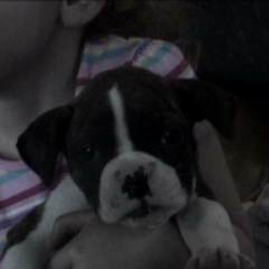 Diesel_jess