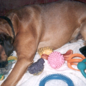 Spoiled