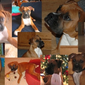 My baby  Growing up!