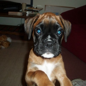 Please let me on the sofa....