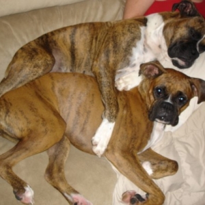 Couch.jpg