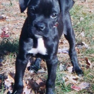 Bella
