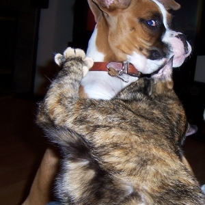 Stick n Move!