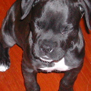 Sooo Tired!!!